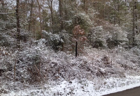 east texas snow 0128 east texas snow 0128