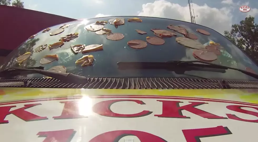 'Meat' the Kicks van