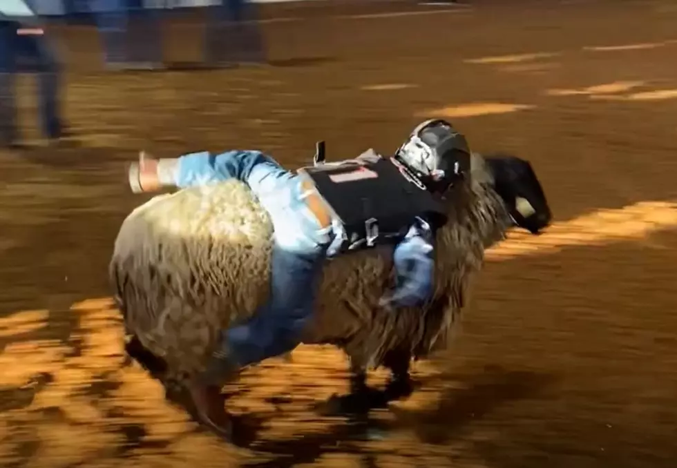 Nacogdoches Rodeo Mutton Bustin’ – Register Your Kid to Ride