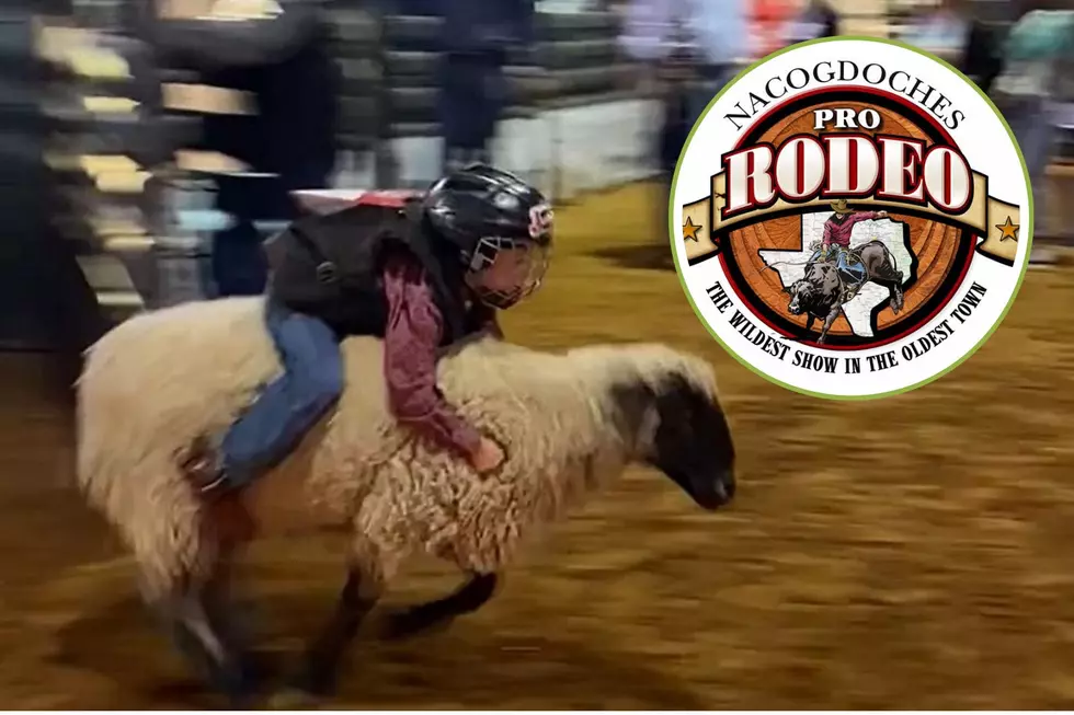 Here Are The Mutton Busters for the 2025 Nacogdoches Pro Rodeo