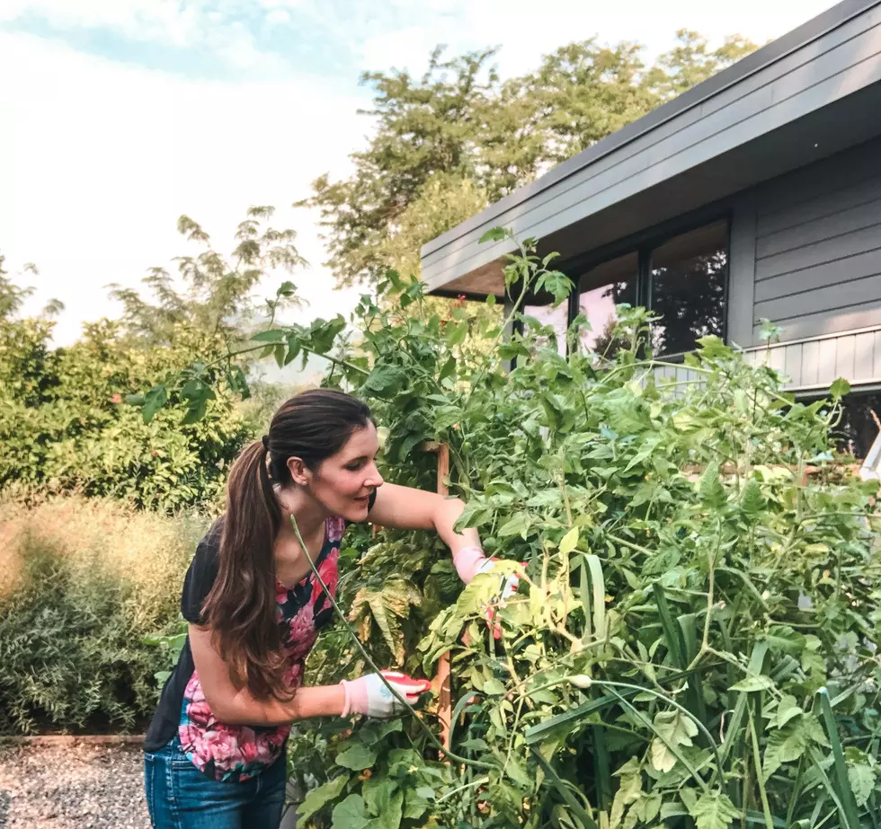 Woman Gardening In Her Yard
