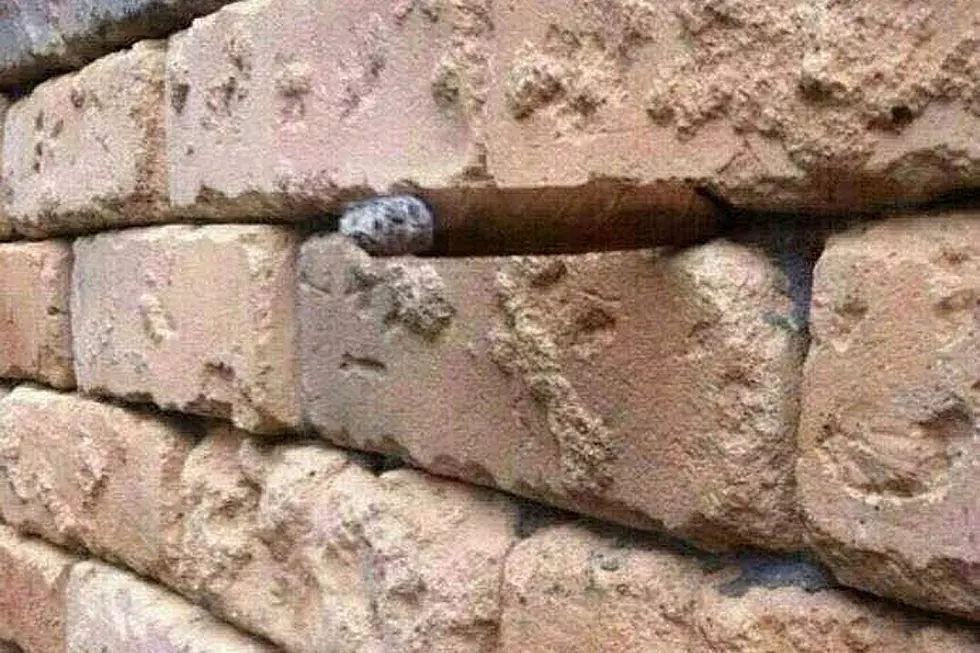 Simple Brick Wall Illusion Is Driving the Internet Up a Metaphorical Wall